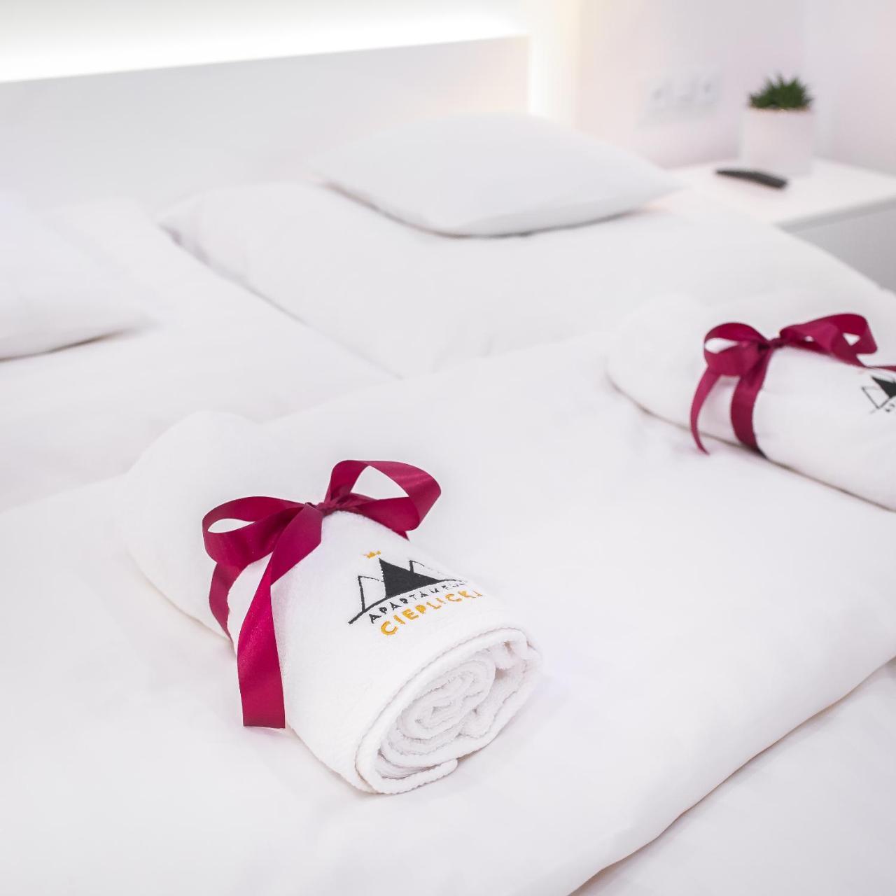 Apartamenty Cieplicka Jelenia Gora Ngoại thất bức ảnh